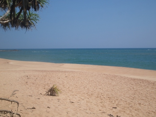 Beachfornt bareland