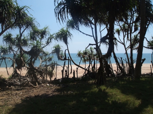 Beachfornt bareland